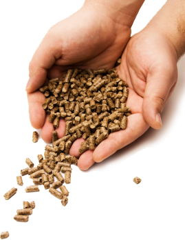 Agricultural Waste